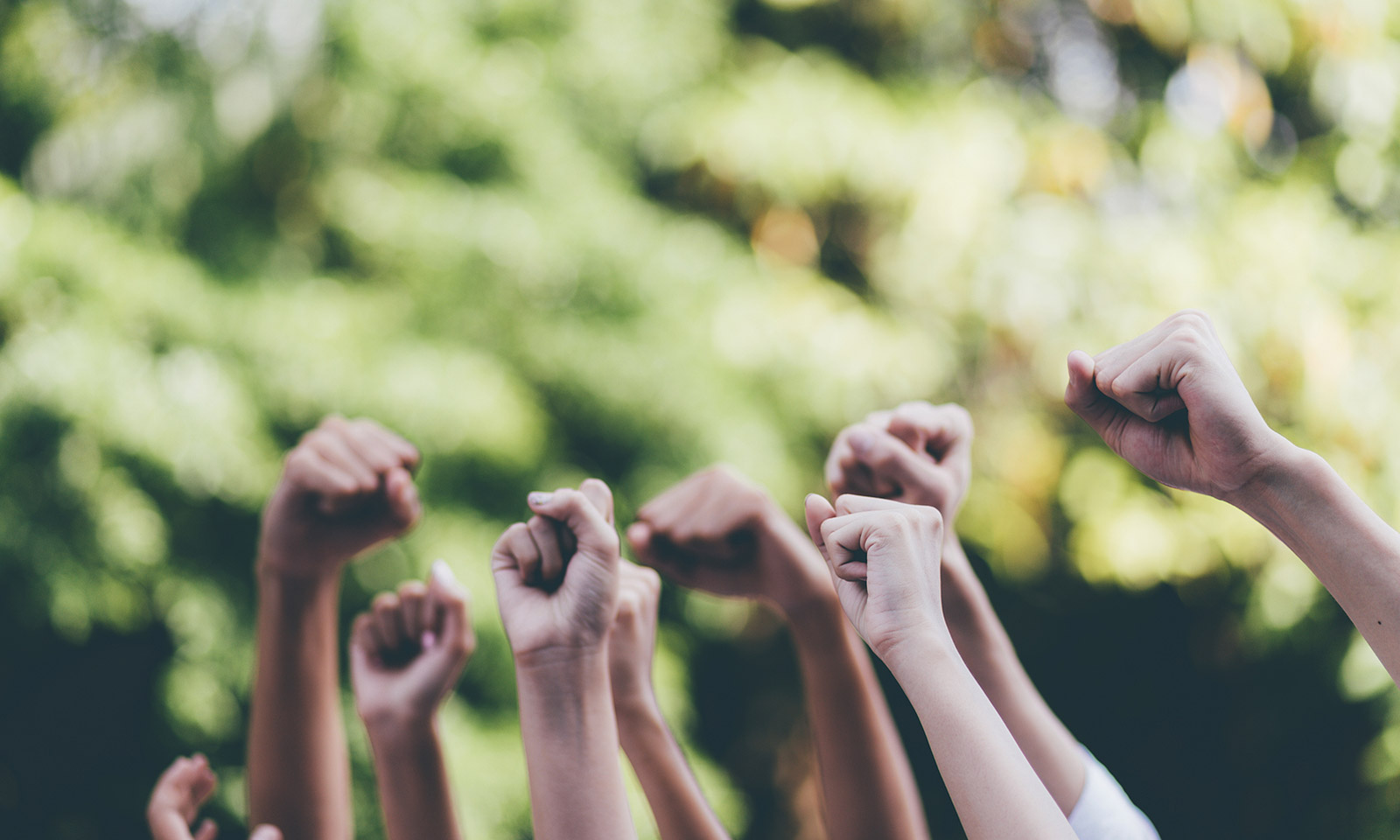 Entrepreneurship: Odds of Success blog